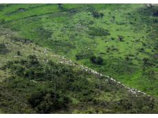 Cadastro Ambiental Rural  prorrogado at maio de 2016 - Clique aqui para ver a galeria 
